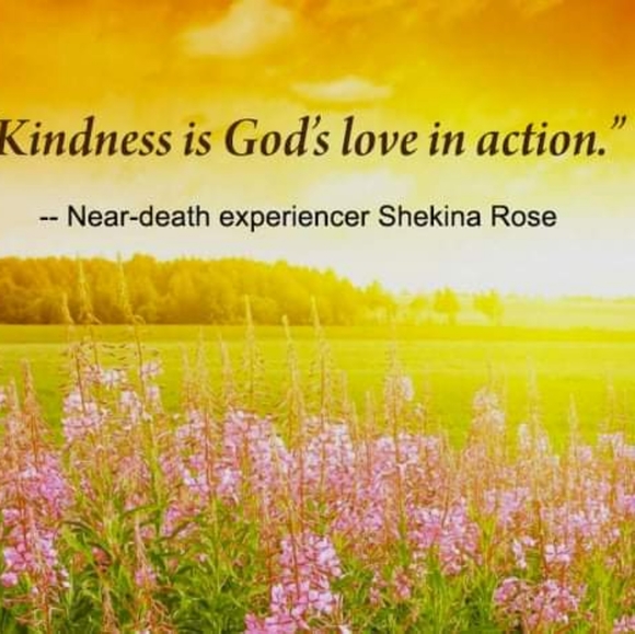 HUGE SALE HUGE SALE HUGE SALE - Picture 2 of 8